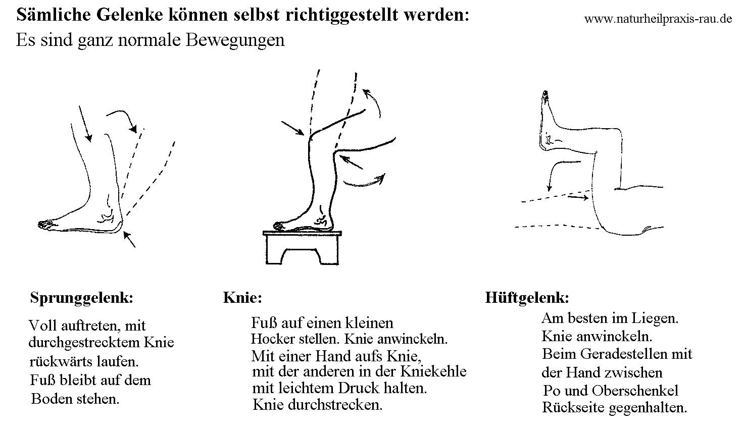 Gelenke einrichten